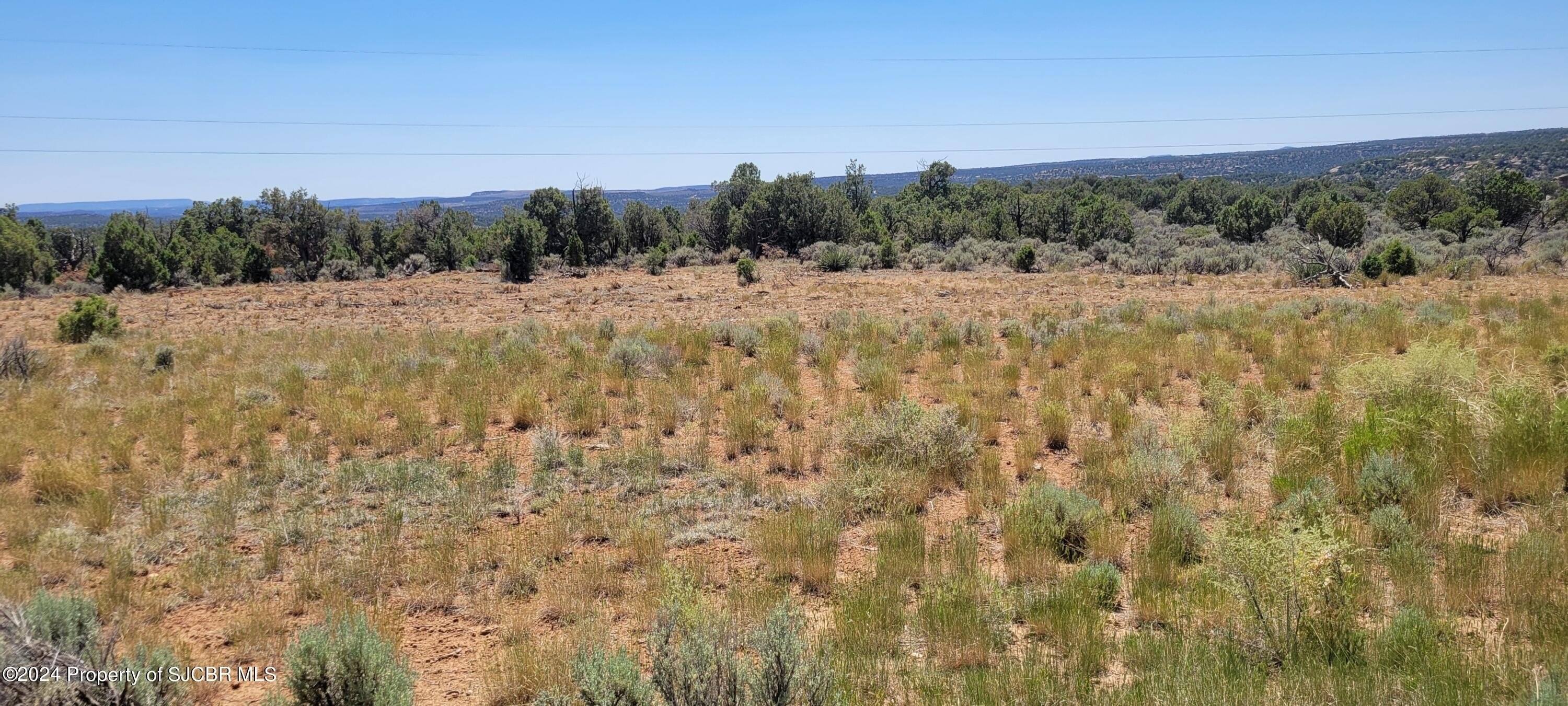 Land Near Navajo Dam, NM