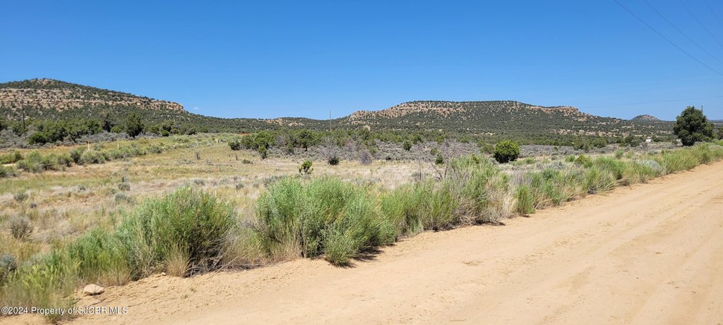 Picture 10