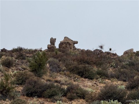 20 Acres of Wooded Land