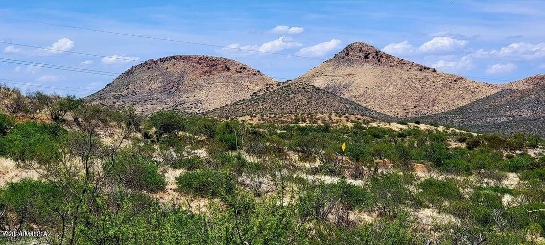 Land in Elfrida, Arizona