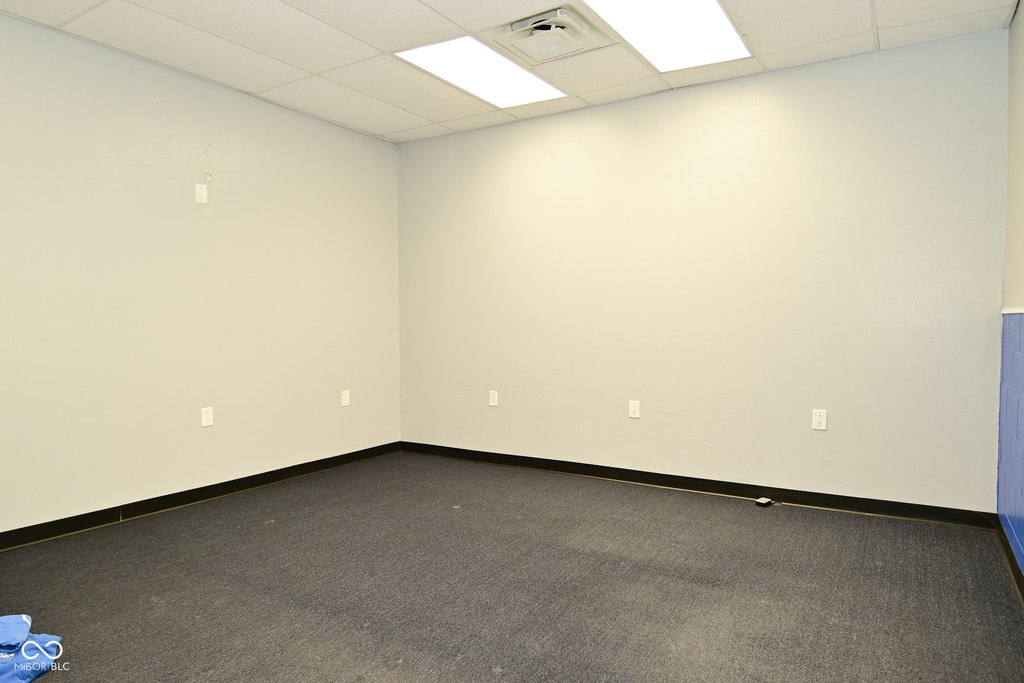 Picture 8