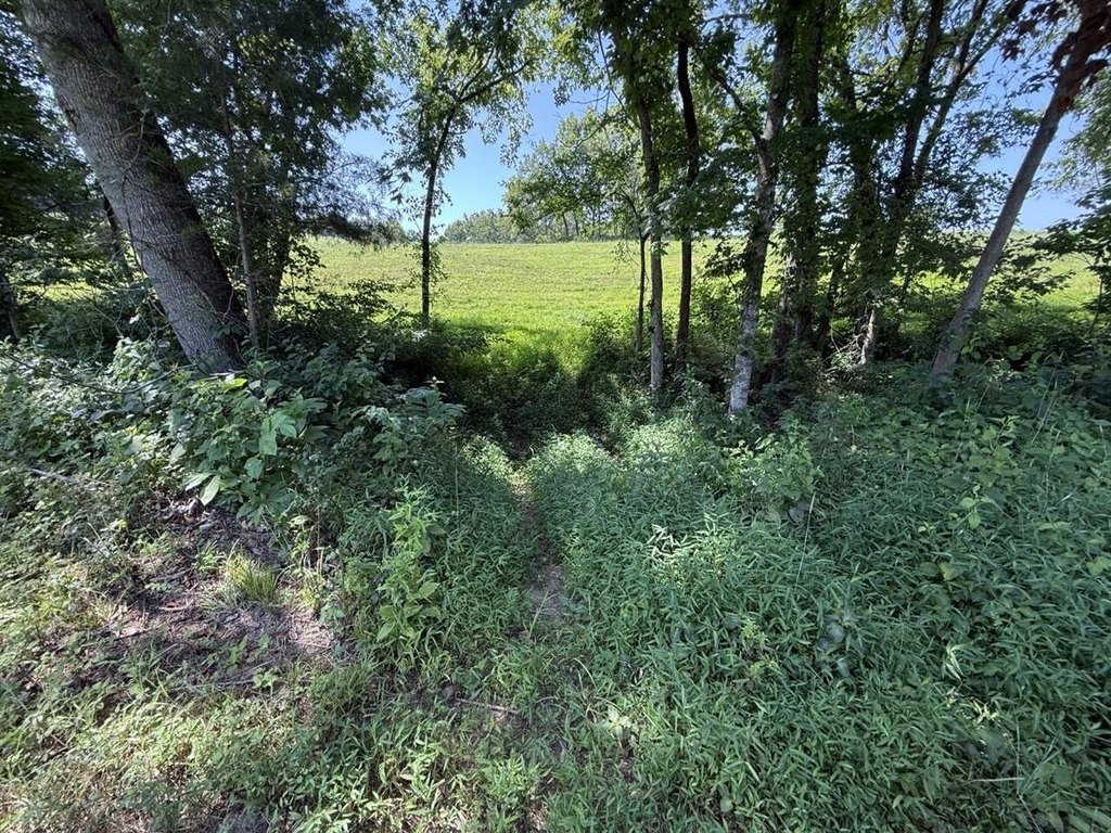 Picture 15