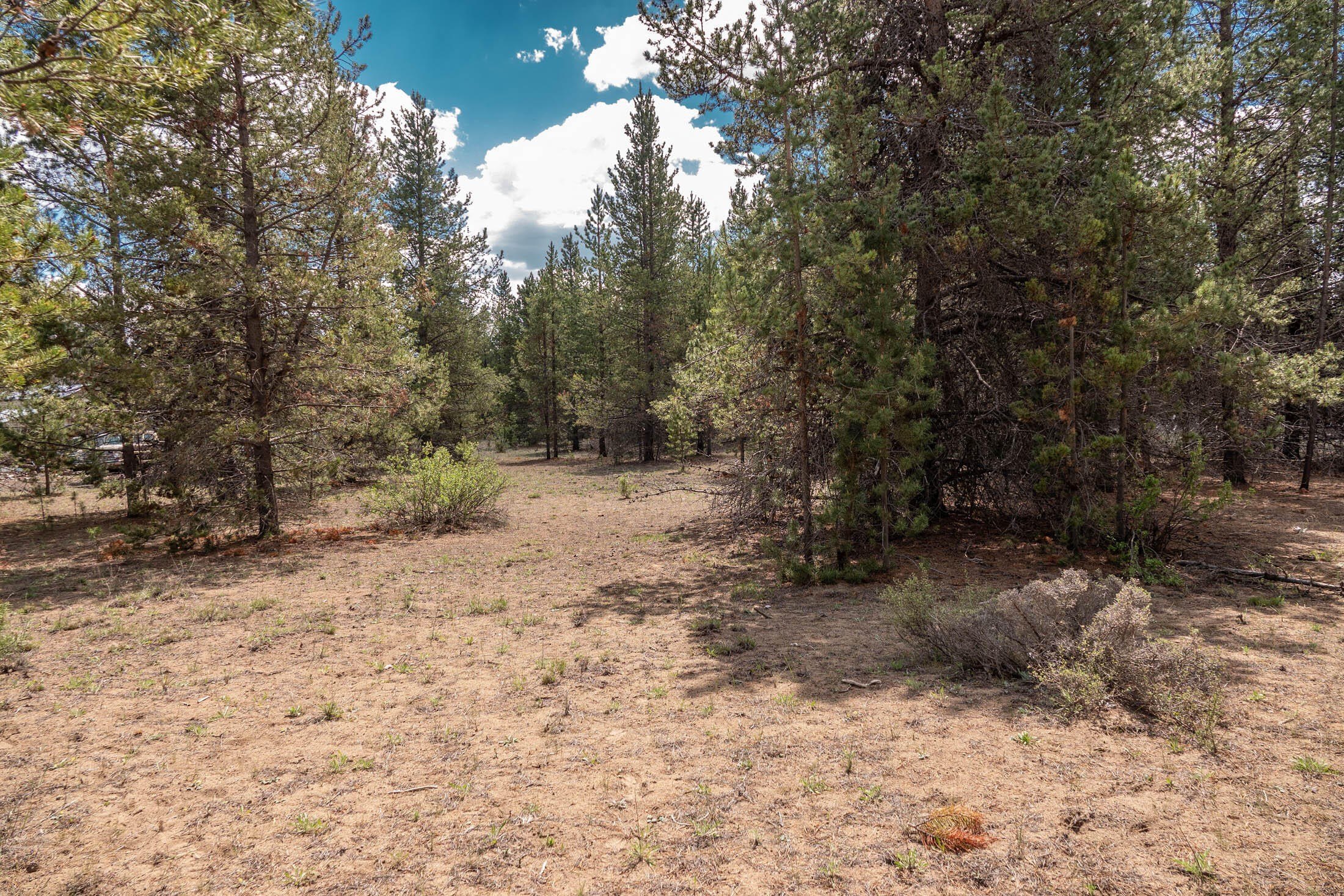 La Pine Treed Land Parcel