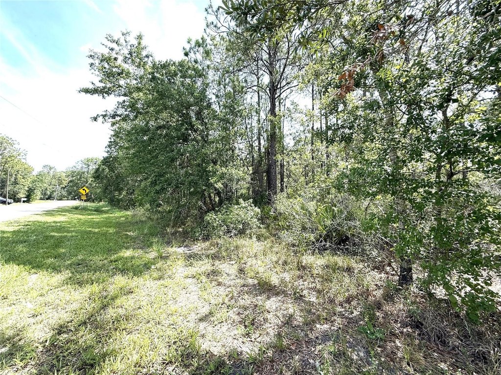 Picture 3