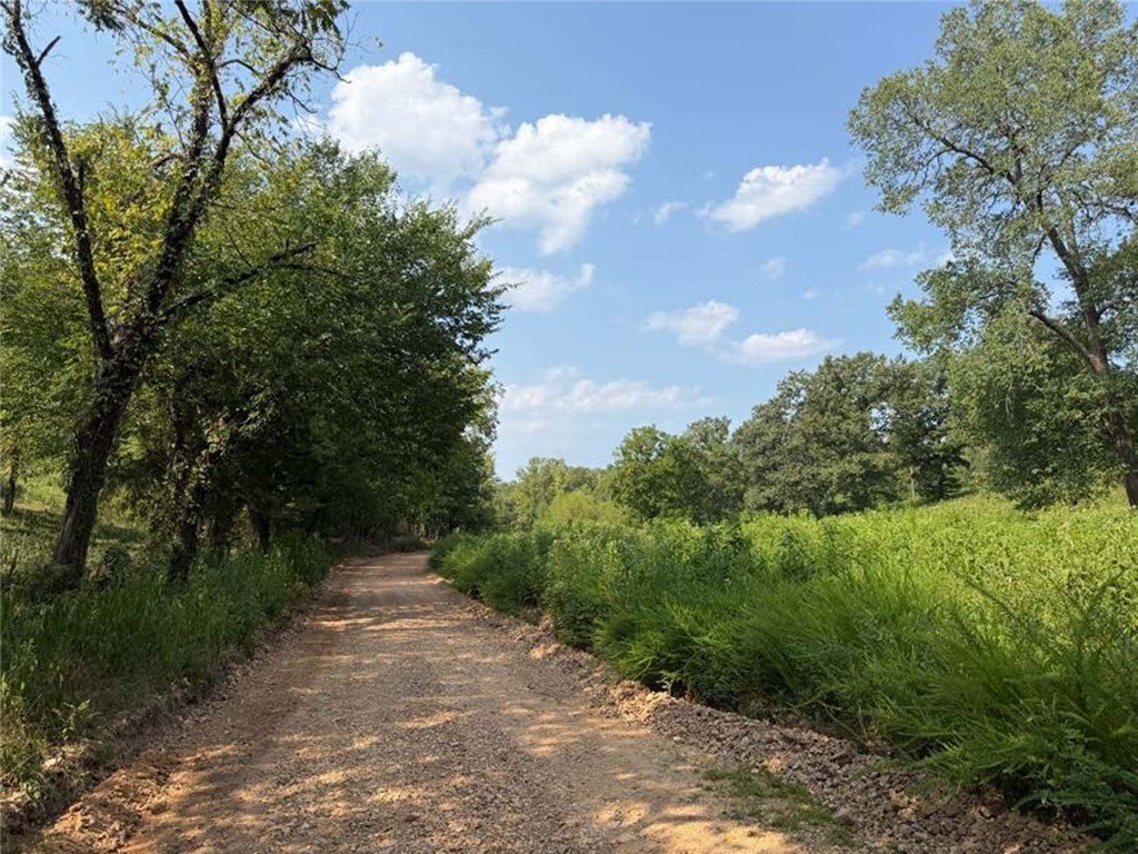Picture 19