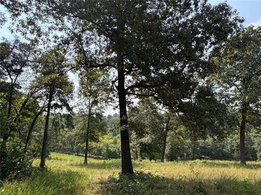 Picture 18