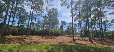 Land, Carrabelle, FL