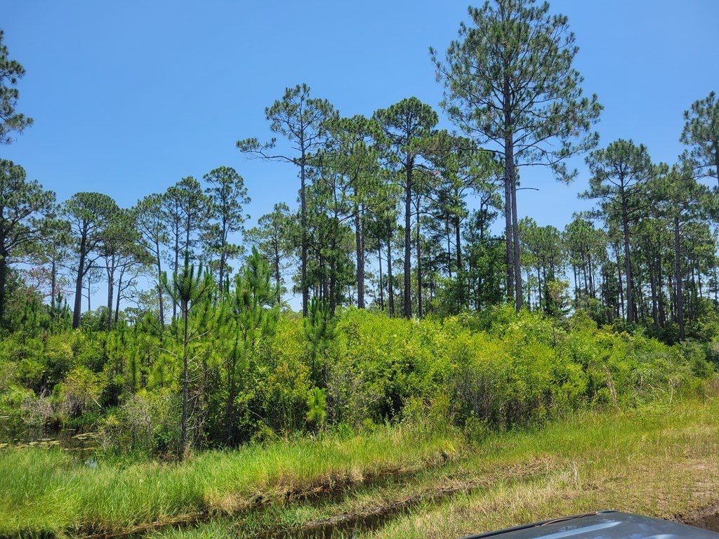 Picture 9