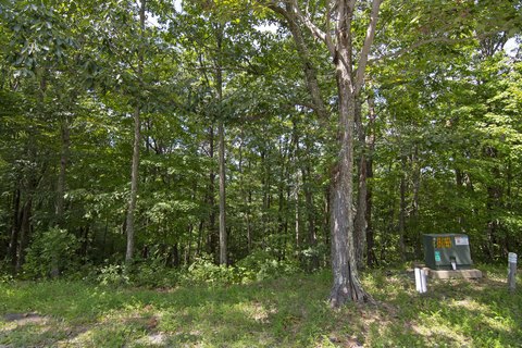 Mountain Homesite in Gated Community