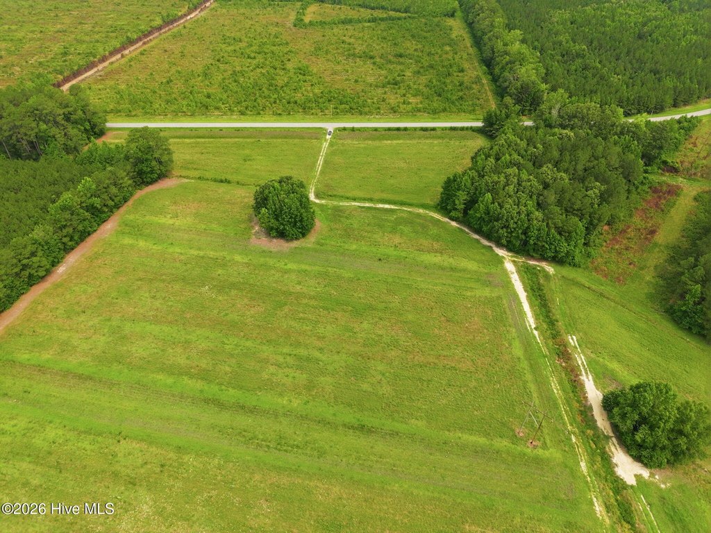 Picture 7