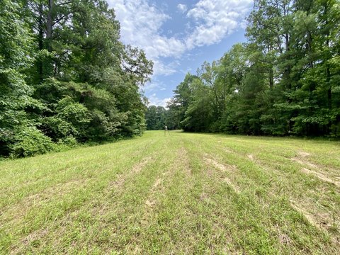 Land, Northport, AL