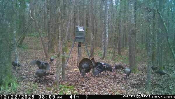 Picture 4