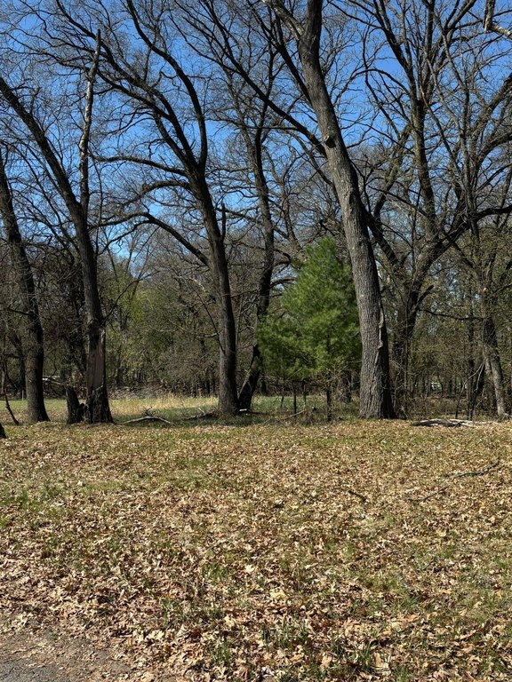 Picture 5