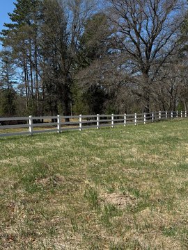 Wooded Residential Building Lot