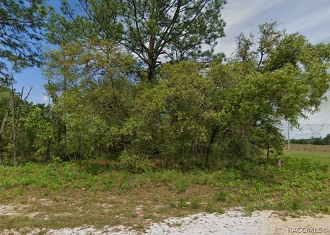 Land, Dunnellon, FL