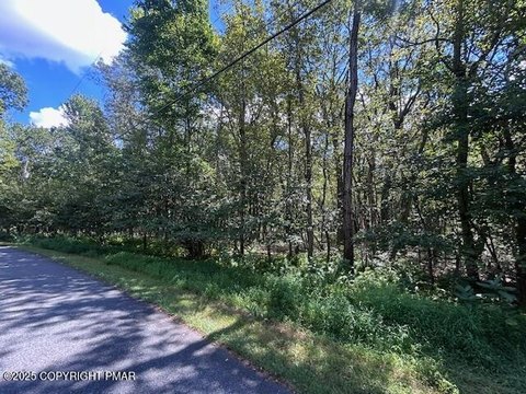 Wooded Land in Jim Thorpe, PA