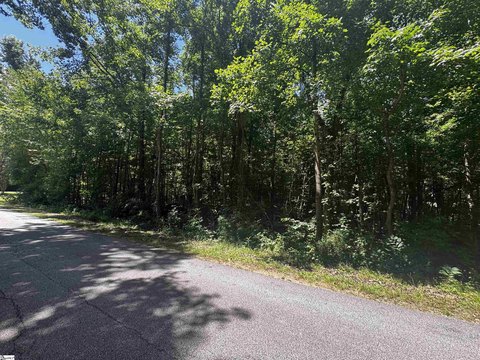 Lots/Land, Clinton, SC
