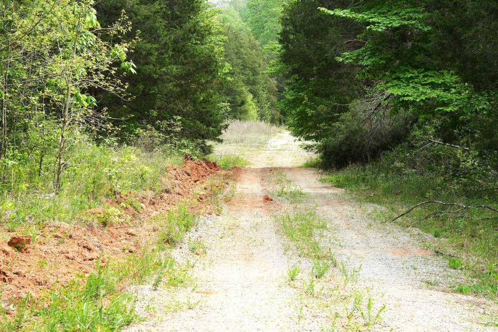 Picture 31