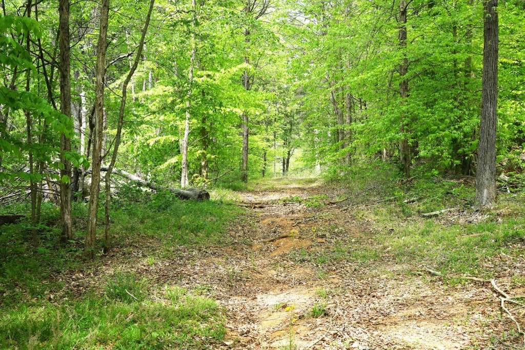 Picture 28