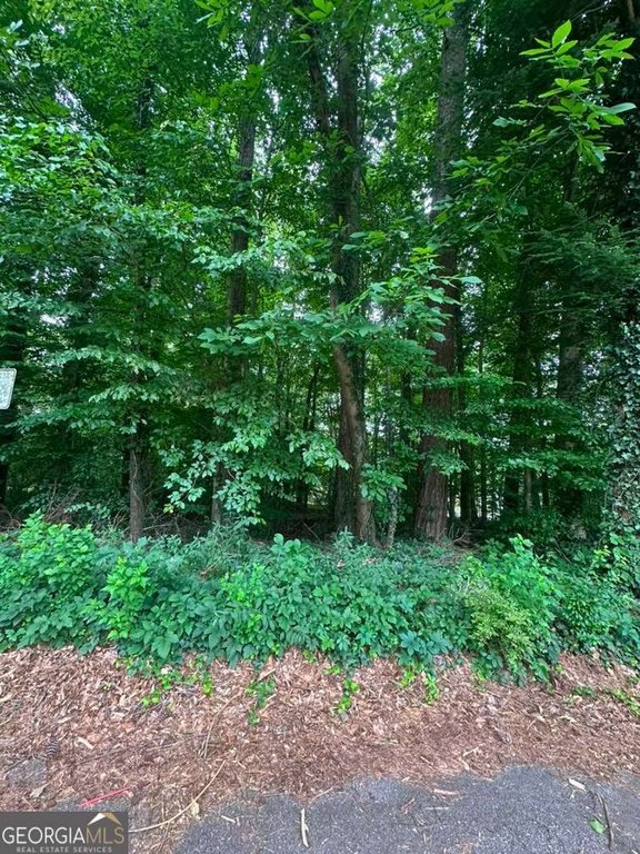 Picture 7