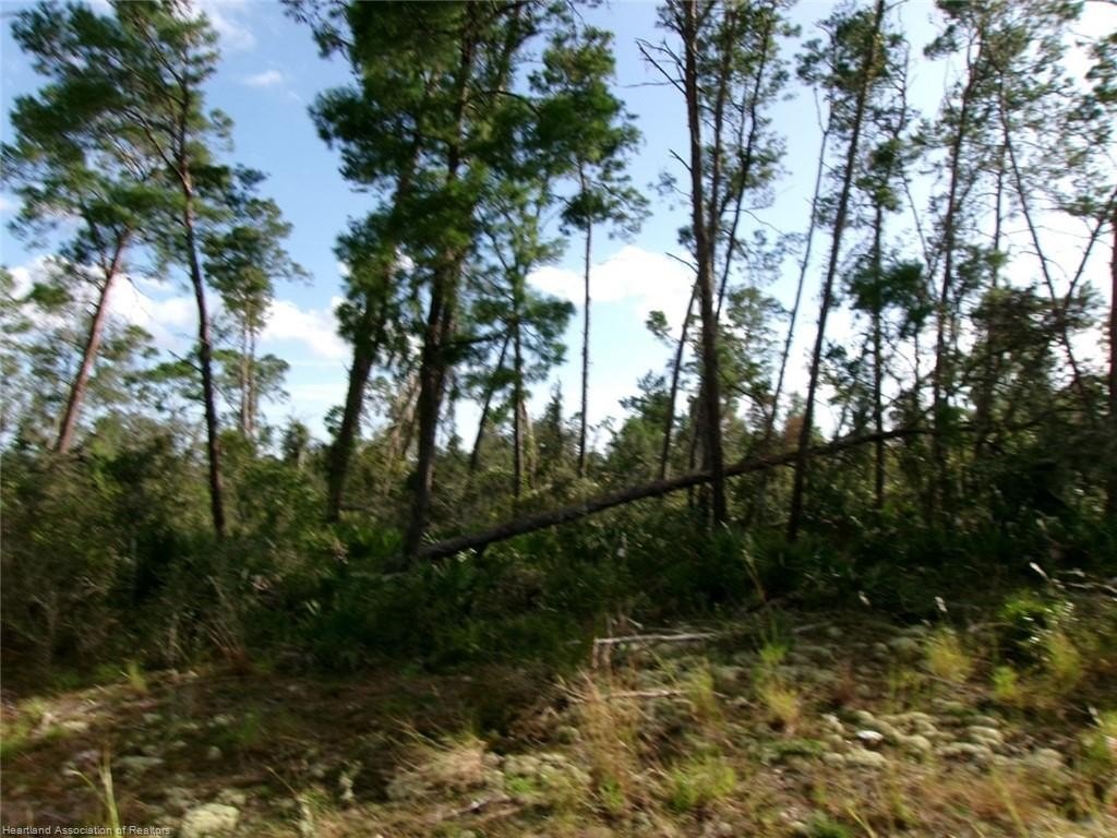 Picture 9