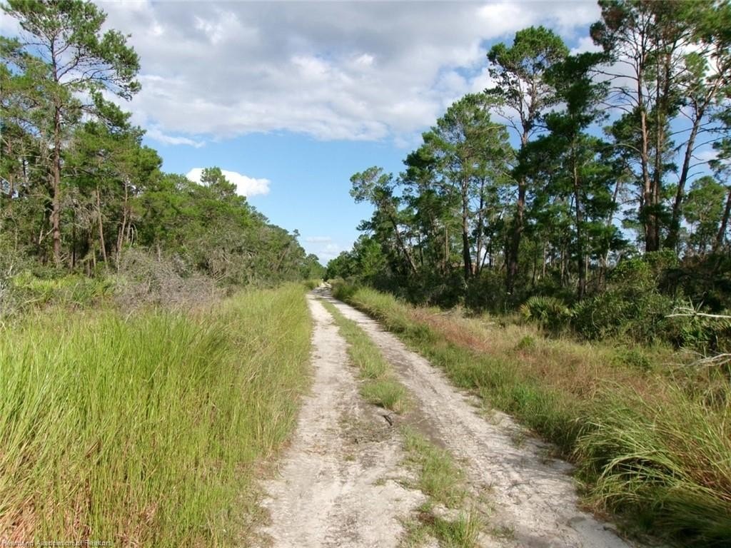 Picture 7