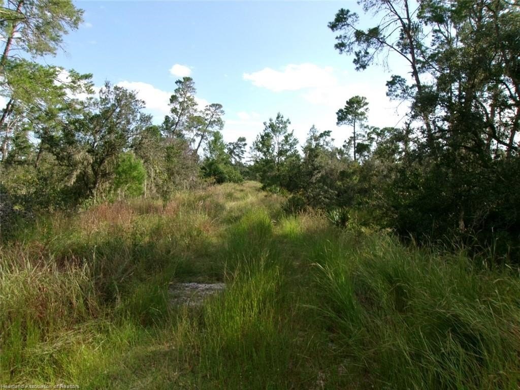Picture 8