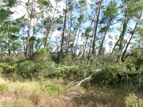 Land, Sebring, FL