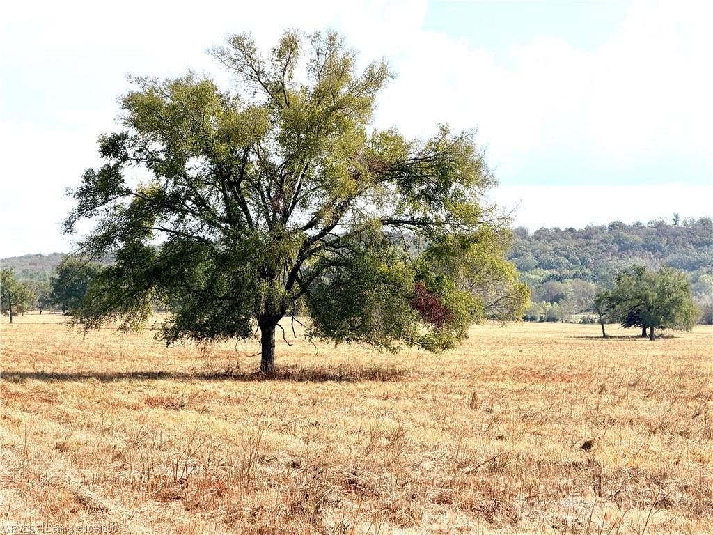 Picture 12