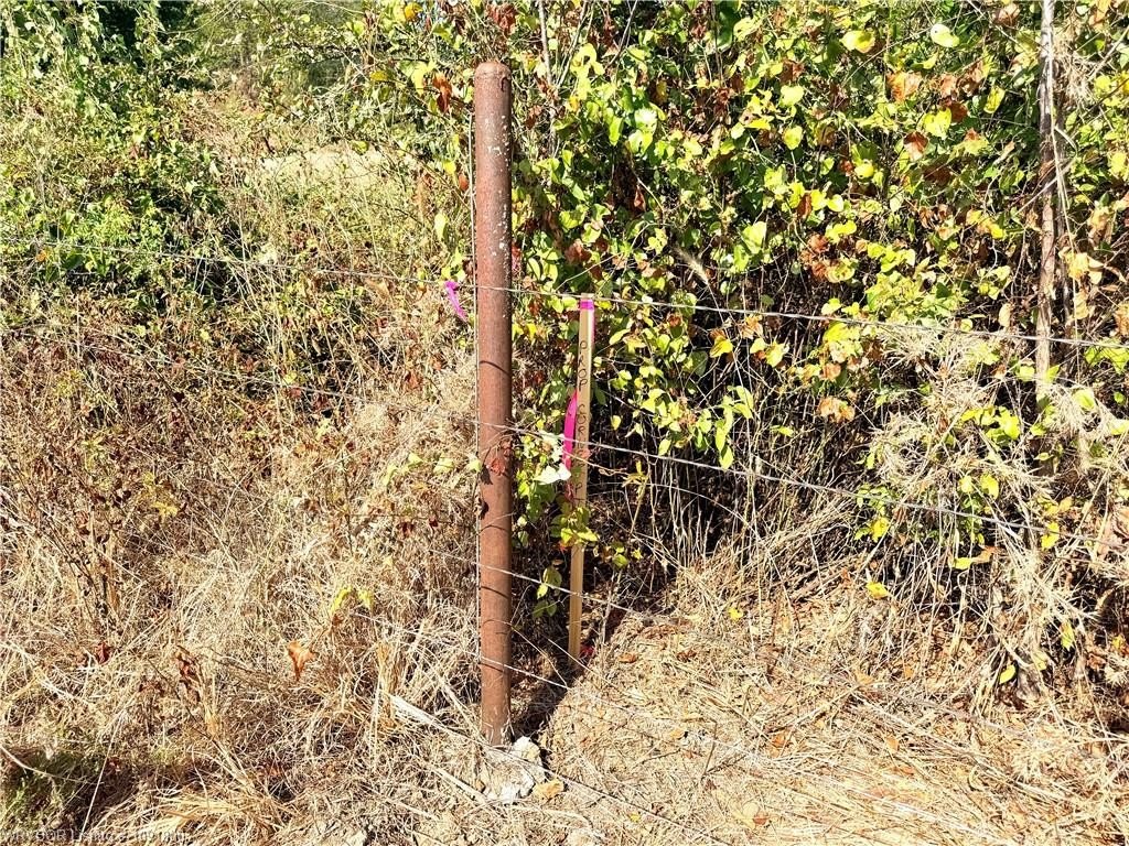 Picture 18