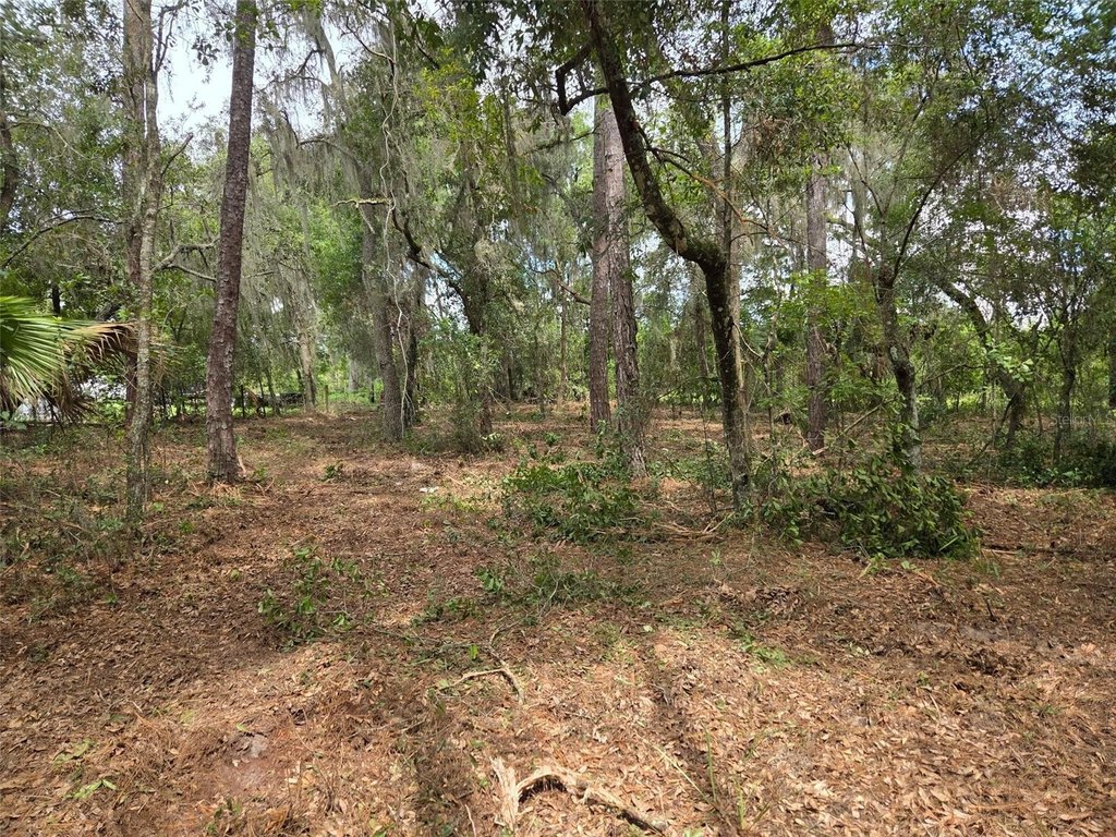 Picture 9