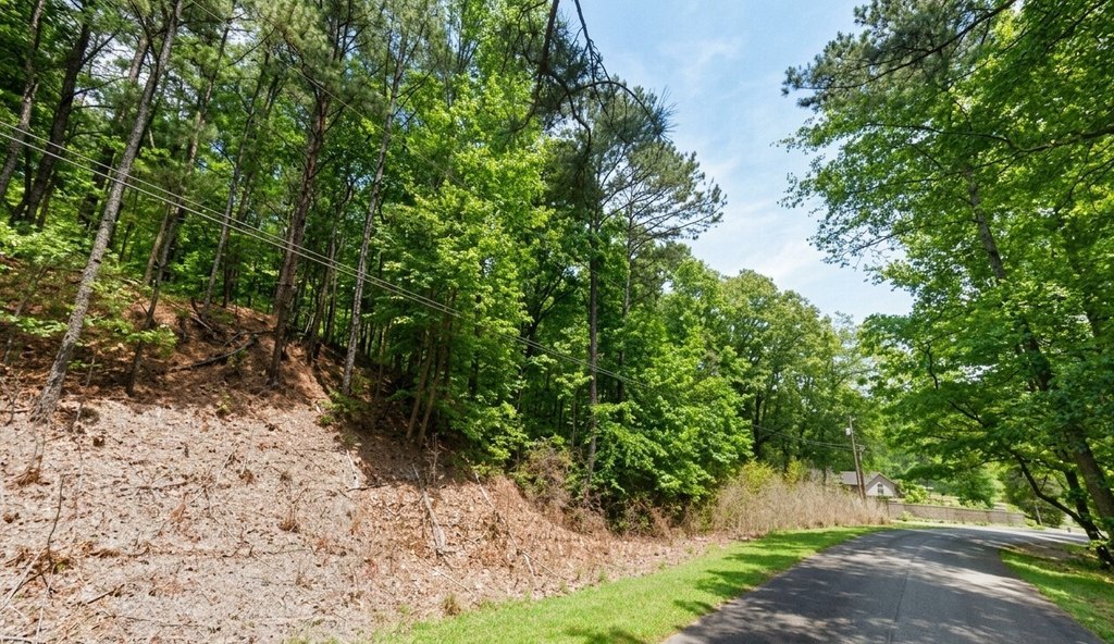 Picture 4