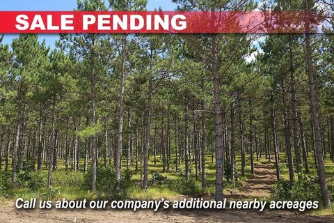 Wooded Recreation Land Homesite