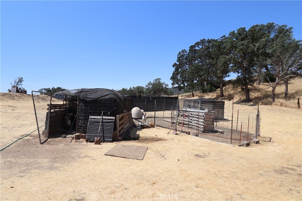 Picture 7