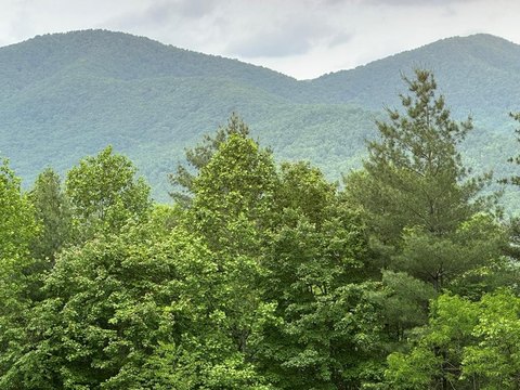Land in Smoky Mountains
