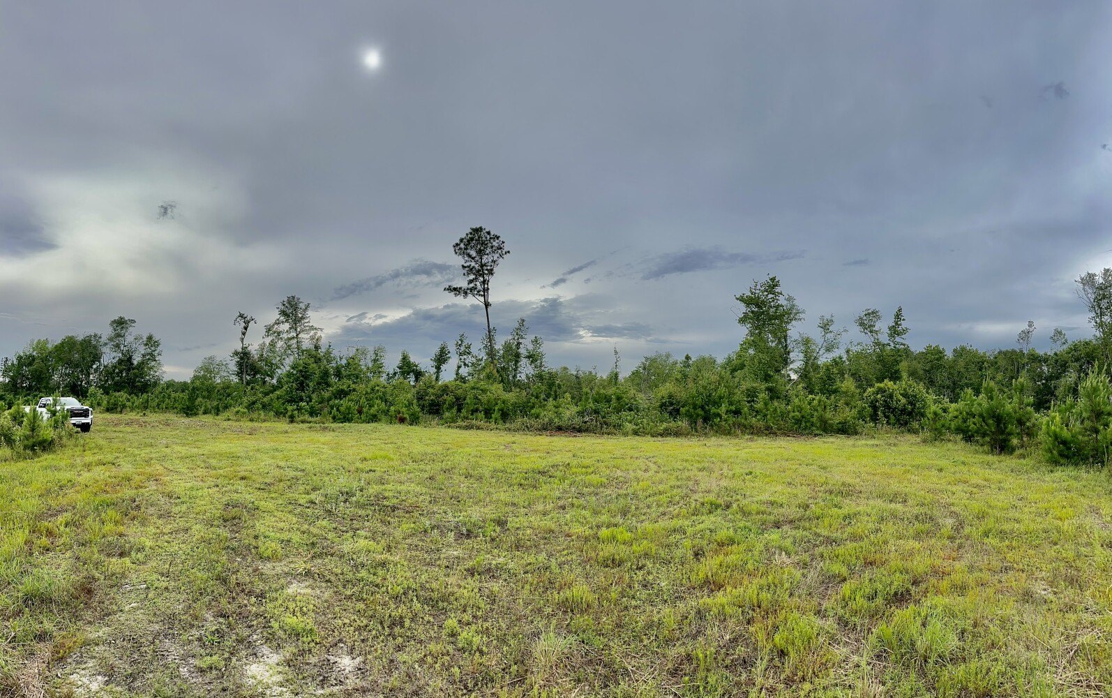 Recreational Land with Hunting Potential