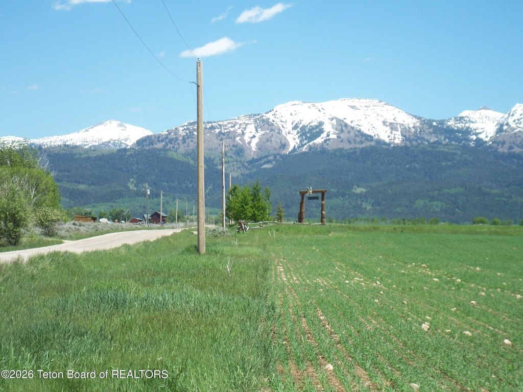 Picture 11
