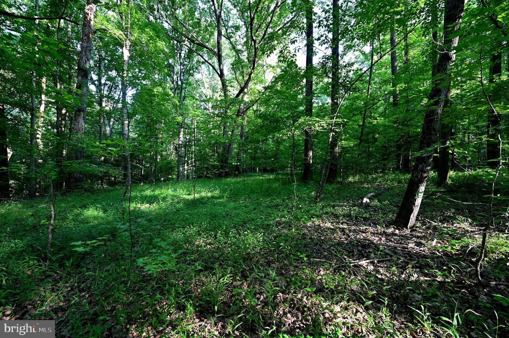 Picture 25
