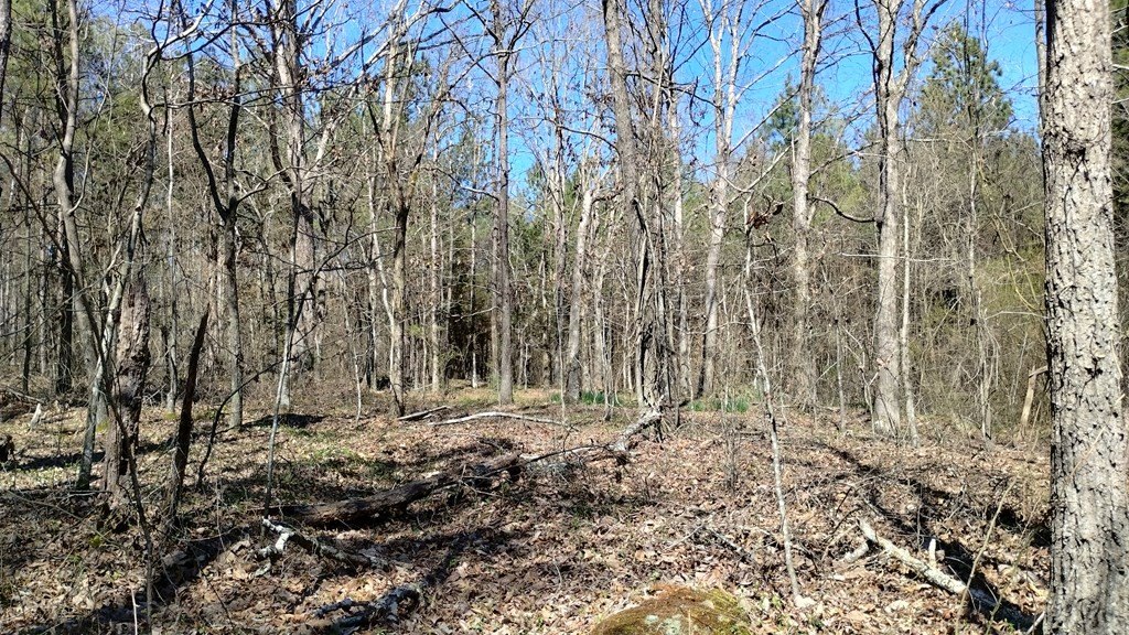 Picture 18