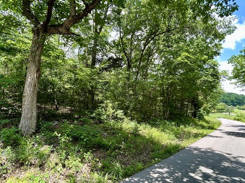 Unrestricted Land in Somerset, KY