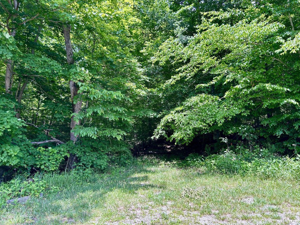 Picture 8