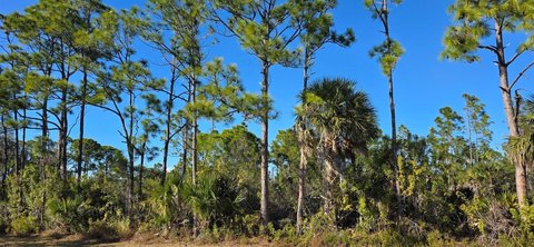 PORT CHARLOTTE, FL