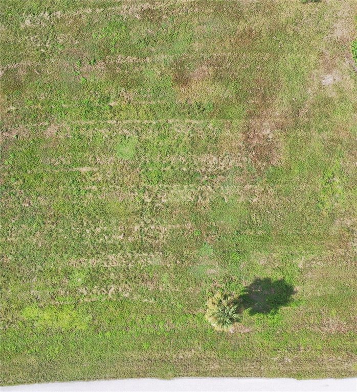 Picture 3