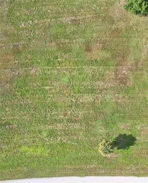 Land, PLACIDA, FL