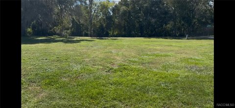 Waterfront Lot in Floral City