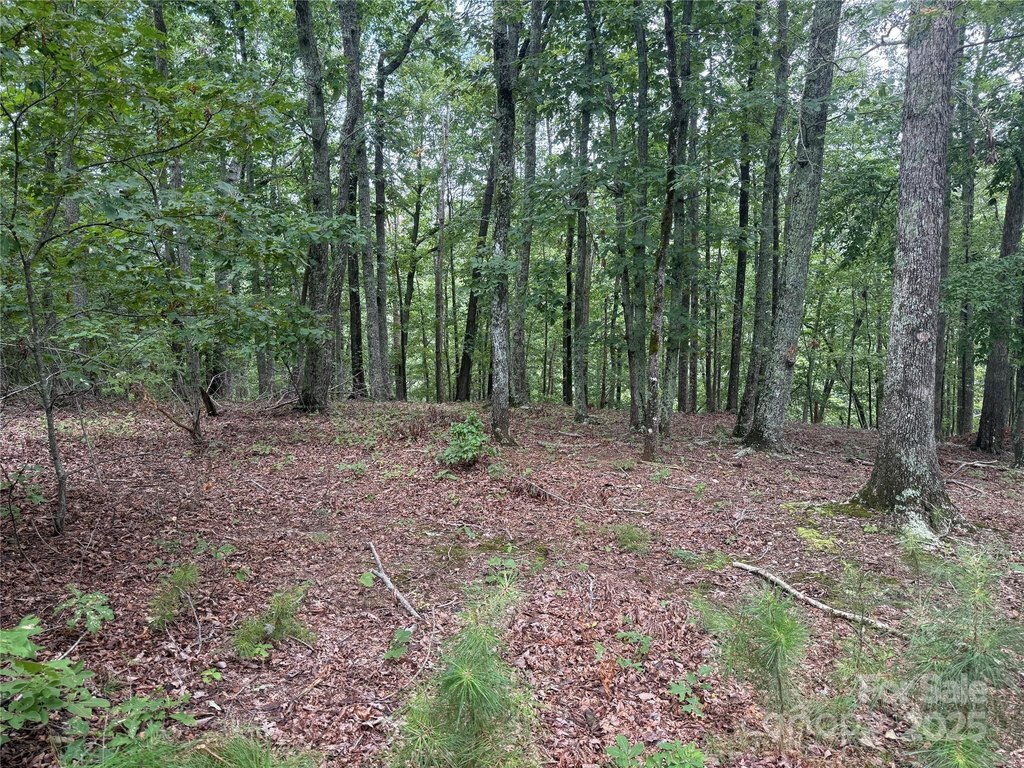 Picture 7