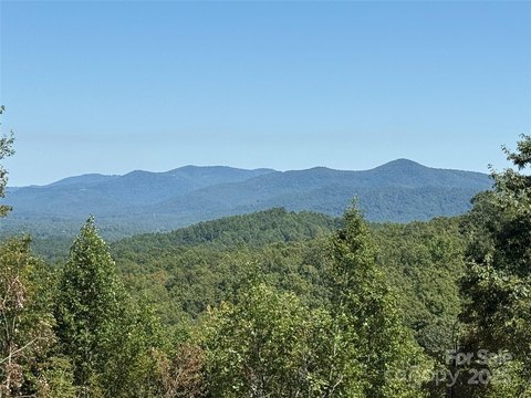 LAND - Nebo, NC