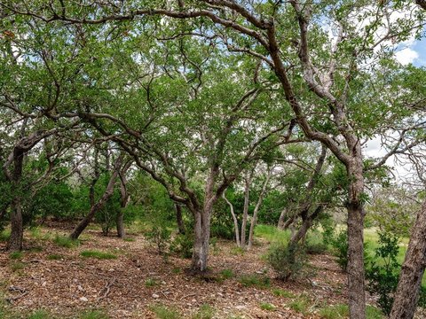 Unrestricted Hill Country Land Parcel