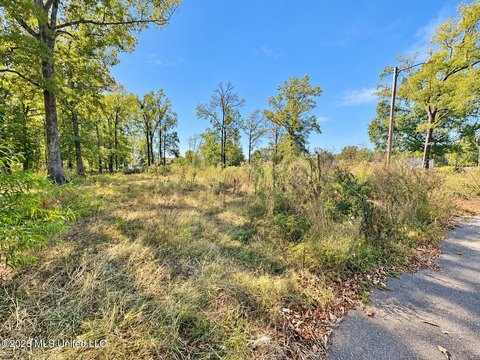 Land, Grenada, MS