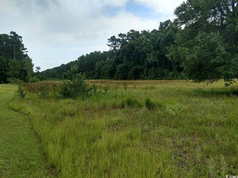 Georgetown Land on Highway 701